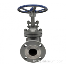 DN15-DN400 VT1-0 GR12 Titanium Gate Vate
